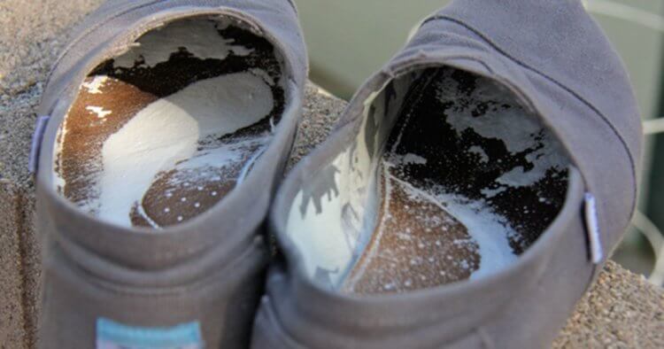 Почему ноги пахнут сыром? Бактерии дают вашей обуви 4 разных запаха