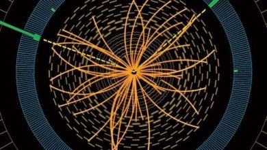 Фото - Что такое бозон Хиггса и почему ученые хотели его открыть