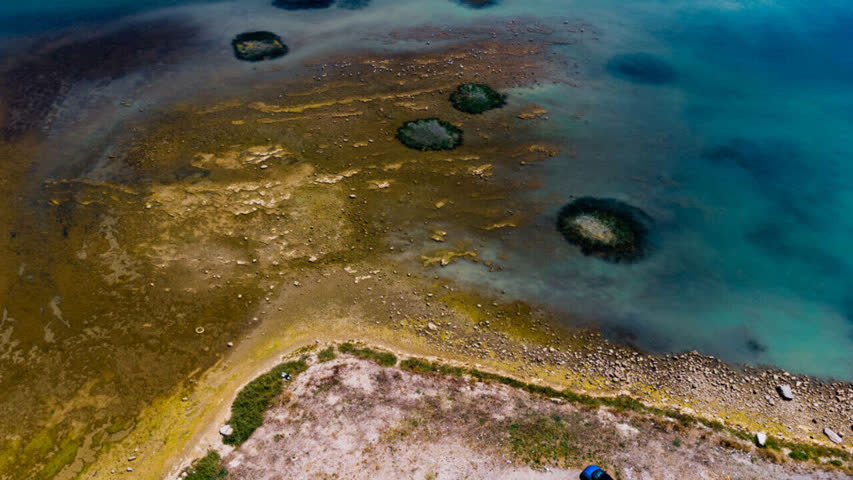 Фото - 70 процентов богатых экосистем Мирового океана оказались под угрозой