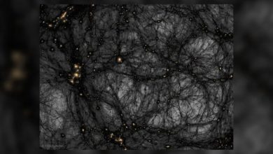 Фото - Темная материя – ключ к теории гравитации?