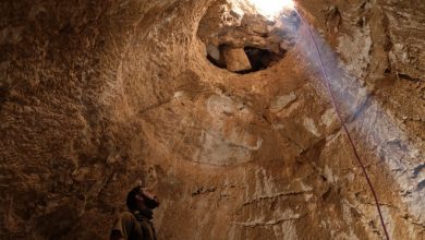 Фото - Израильские археологи обнаружили древнейшее роскошное поместье возрастом 1,2 тыс. лет