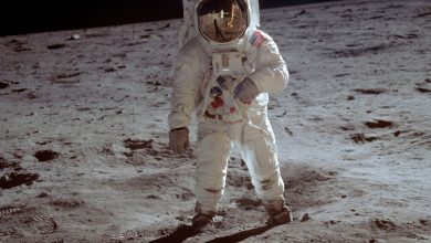 Фото - В NASA заявили, что люди не только вернутся на Луну, но будут «жить там и учиться»