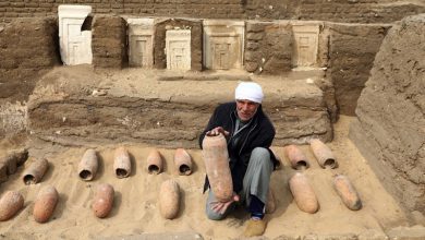 Фото - Археологи обнаружили в древнеегипетском некрополе сыр халуми возрастом 2600 лет