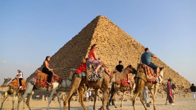 Фото - Египтологи раскрыли тайну возведения пирамид