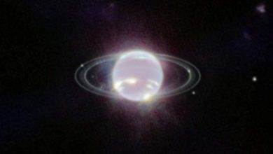 Фото - Космический телескоп James Webb сфотографировал призрачные кольца Нептуна