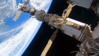 Фото - Космонавты Артемьев и Матвеев начали выход в открытый космос для работ с ERA