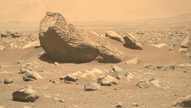 Фото - На Марсе нашли несколько тысяч килограммов земного мусора