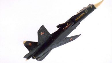 Фото - В России создают беспилотники с «перевернутым» крылом с учетом наработок по самолету Су-47