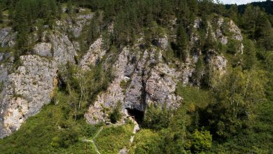 Фото - Археологи обнаружили следы огня возрастом 300 тыс. лет в Денисовой пещере