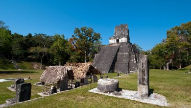 Фото - Археологи выяснили, что древние Майя отравили свои города ртутью