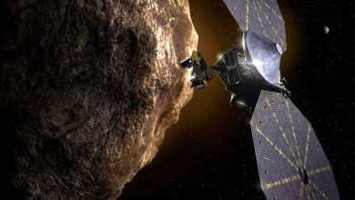 Фото - Летящий к астероидам Юпитера аппарат Lucy прошел вплотную мимо Земли