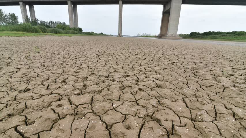 Фото - Летние засухи стали в 20 раз сильнее из-за изменения климата