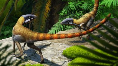 Фото - Палеонтологи реконструировали вид нелетающего родственника предков птерозавров