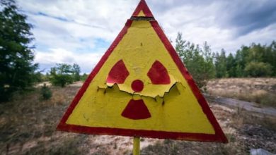 Фото - Почему лягушки в Чернобыле окрасились в черный цвет