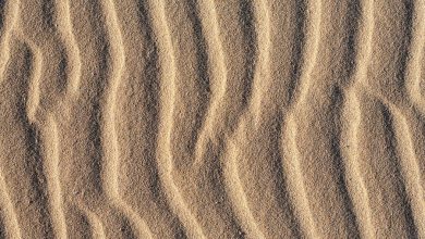 Фото - Ученые исследовали эффективность поедания песка для похудения