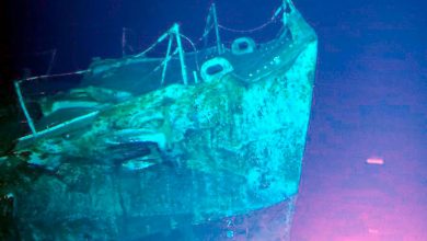 Фото - Ученые установили, что из затонувших нацистских кораблей до сих пор вытекают взрывчатые вещества