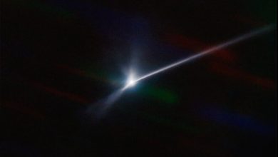 Фото - У астероида Диморф образовался «кометный» хвост после тарана зондом DART
