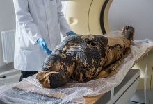 Фото - Виртуальное вскрытие показало причины смерти мумифицированного младенца-аристократа из 17 века