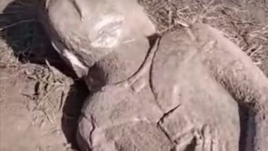 Фото - В Киргизии обнаружили трехметровое каменное изваяние в виде человека с мечом