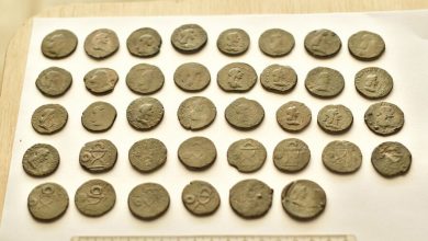 Фото - В Краснодарском крае обнаружили клад монет Боспорского царства