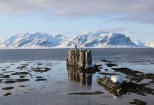 Фото - В РАН сообщили об ускорении таяния Арктики в 2 раза за 20 лет