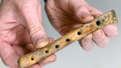 Фото - Археологи обнаружили древнюю костяную флейту в Британии