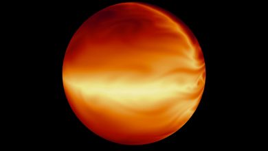 Фото - Астрономы обнаружили горячий юпитер, который скоро поглотит звезда