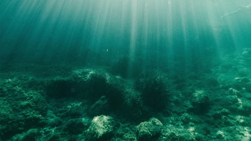 Фото - На гигантской подводной горе обнаружили неизвестные виды организмов