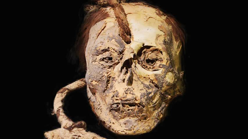 Фото - В отрубленных головах мумий Наска нашли психоактивные вещества