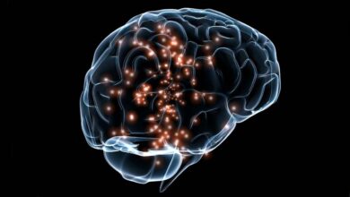Фото - 12 тренажеров для мозга онлайн: Развивайте свой ум бесплатно и без регистрации