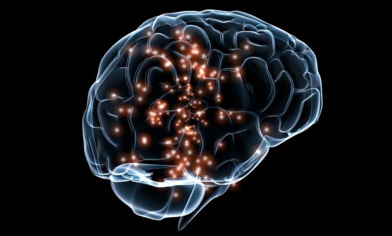 Фото - 12 тренажеров для мозга онлайн: Развивайте свой ум бесплатно и без регистрации